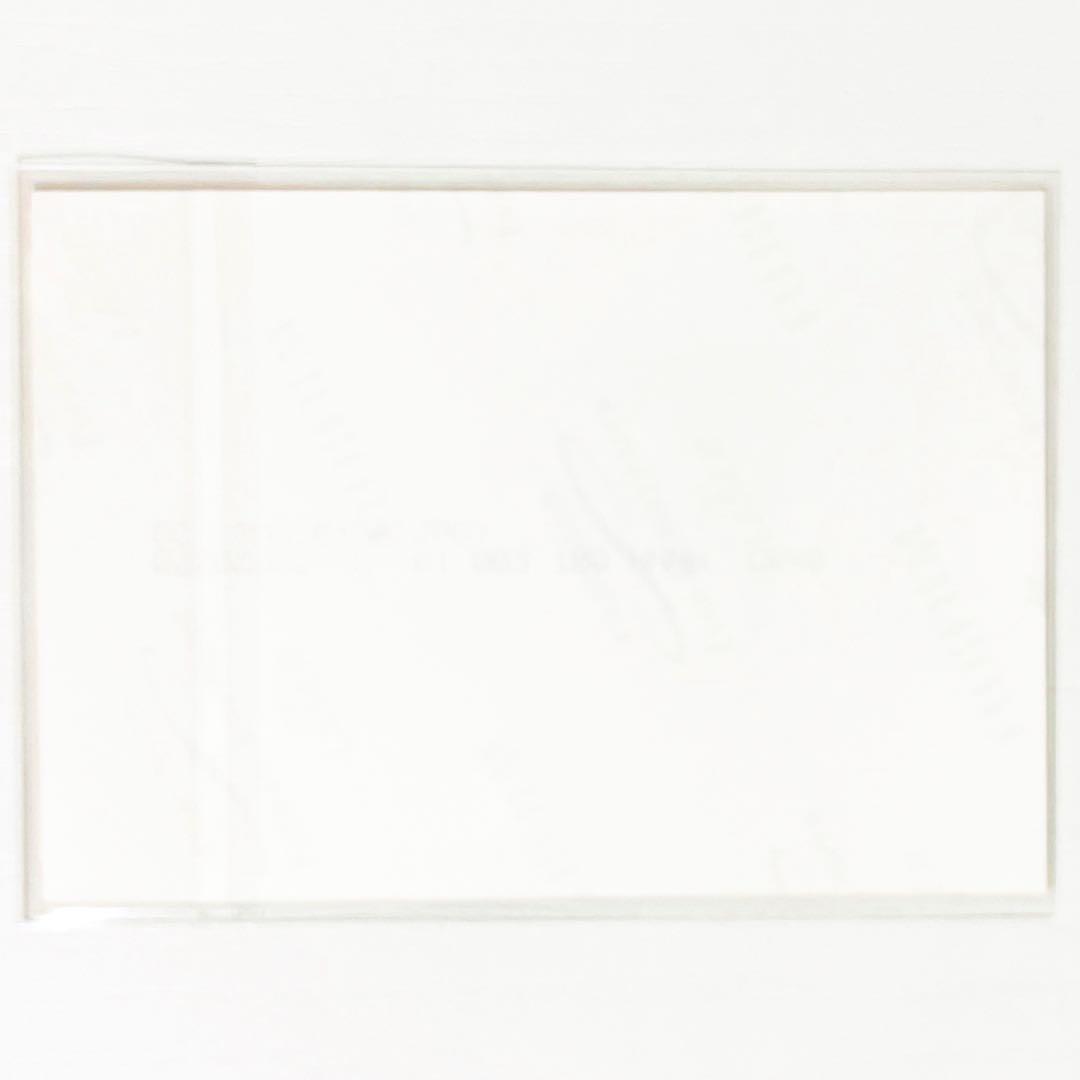 新品★V系★NEVERLAND★HumaNOISE★特典★ブロマイド★4点セット