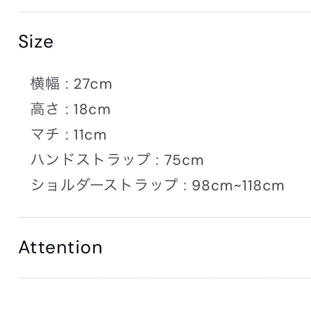 CDL TOKYO 登坂広臣　ショルダーバッグ