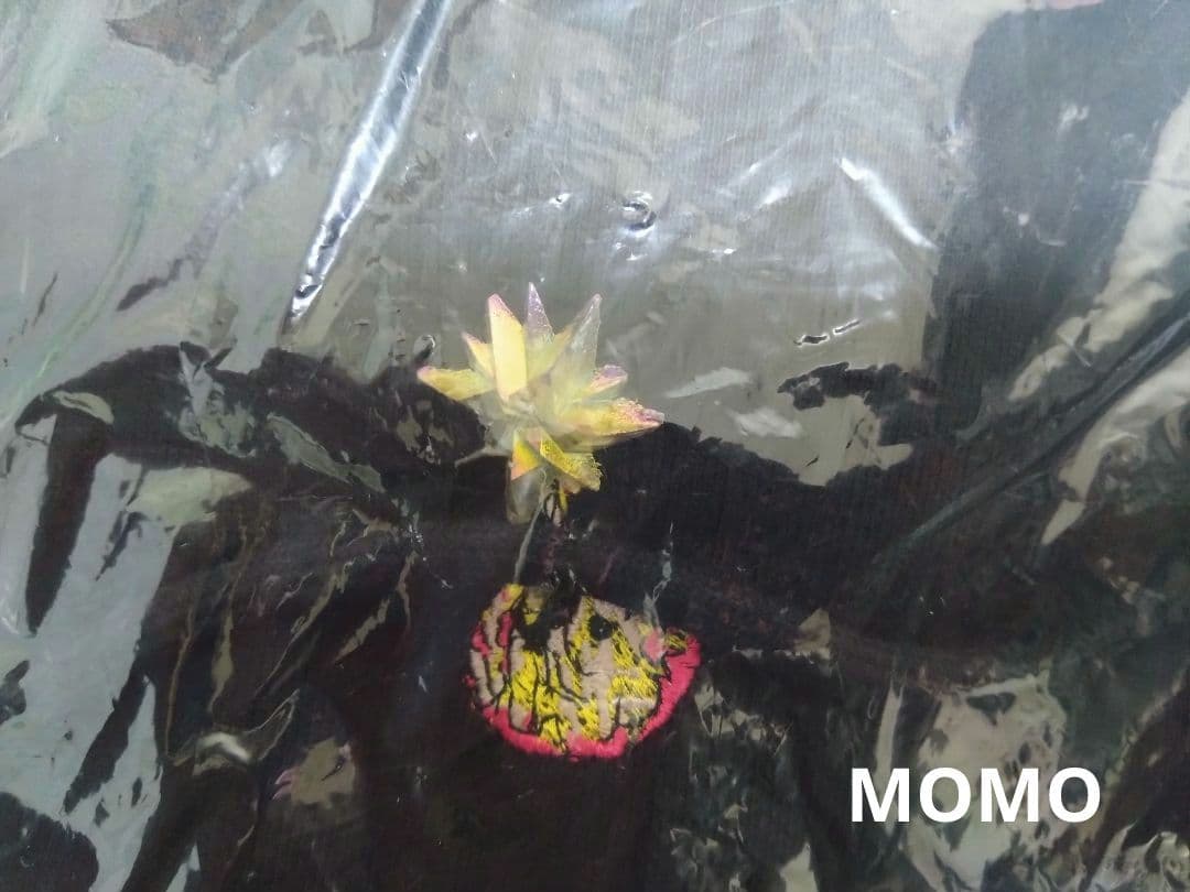 未開封/米津玄師2022 変身 宝石パーカー / BLACK