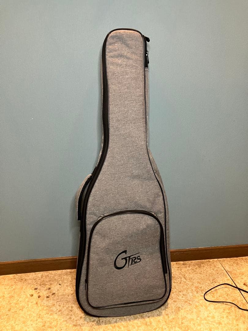 ギター Mooer GTRS S801