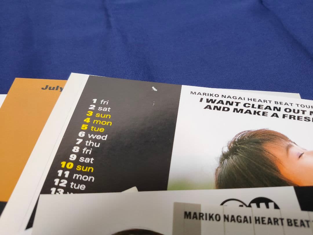 永井真理子グッズまとめ