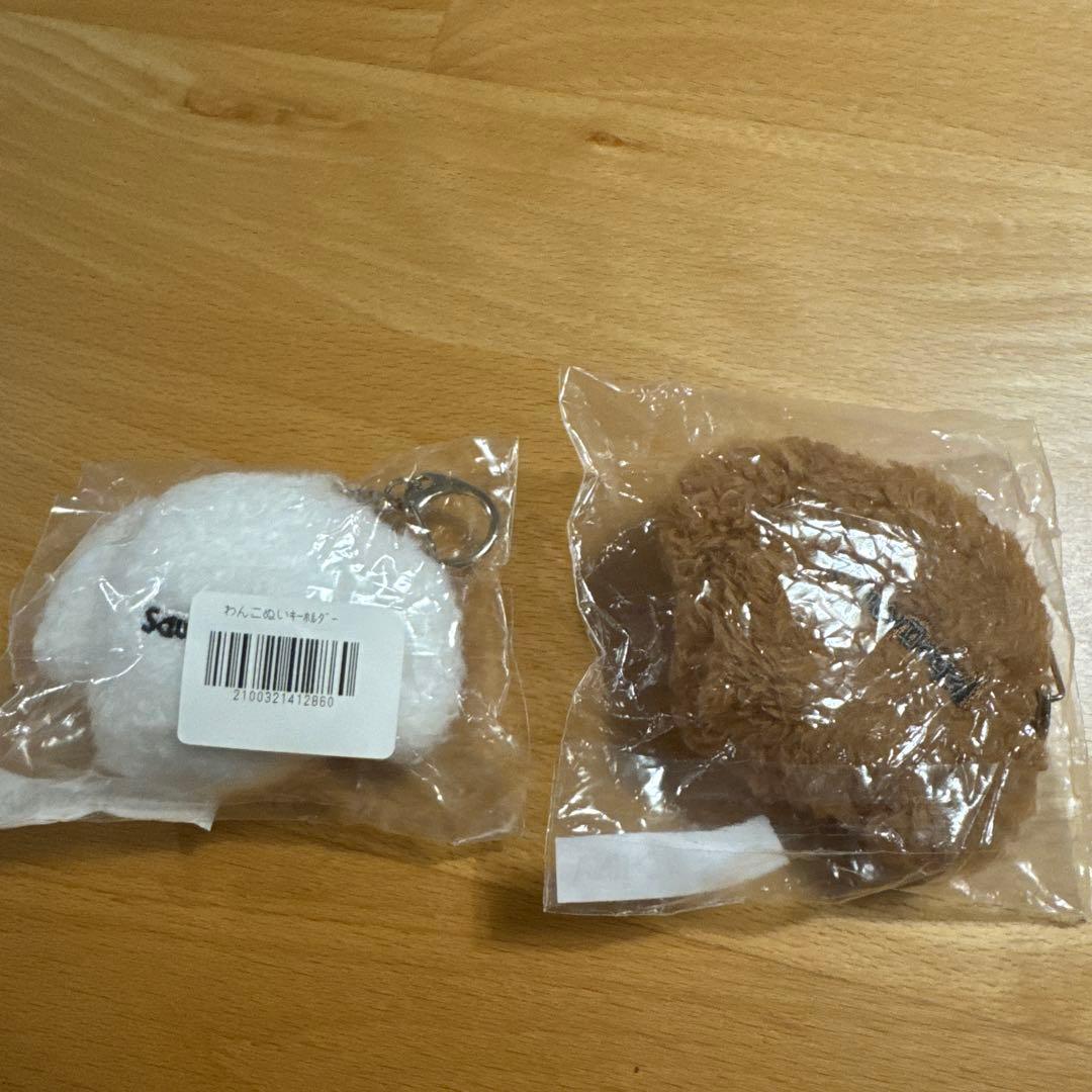 新品 SaucyDog わんこぬいキーホルダー 白 茶 レア サウシードッグ 犬