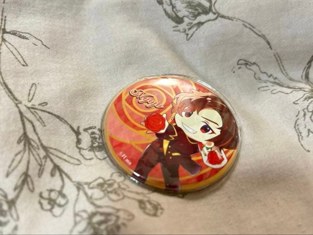 【まとめ売り】リモートホスト 明星 田邊幸輔 アクキーリングライト缶バッジ新品