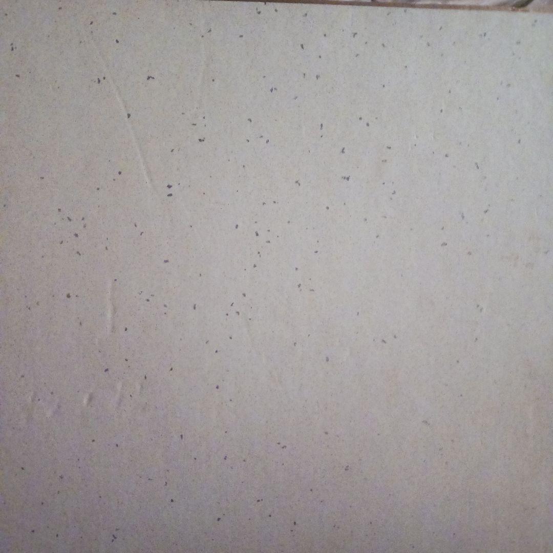 まーさん 様専用笑福亭鶴瓶直筆サイン色紙 - メルカリ