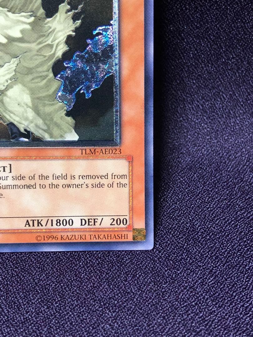 D.D. SURVIVOR 英語 旧アジア レリーフ