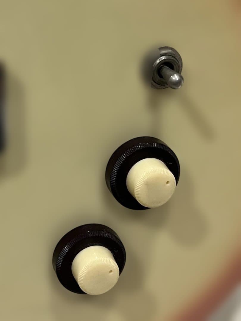 7*3様 【ジャンク扱い】ダンエレクトロギター - メルカリ