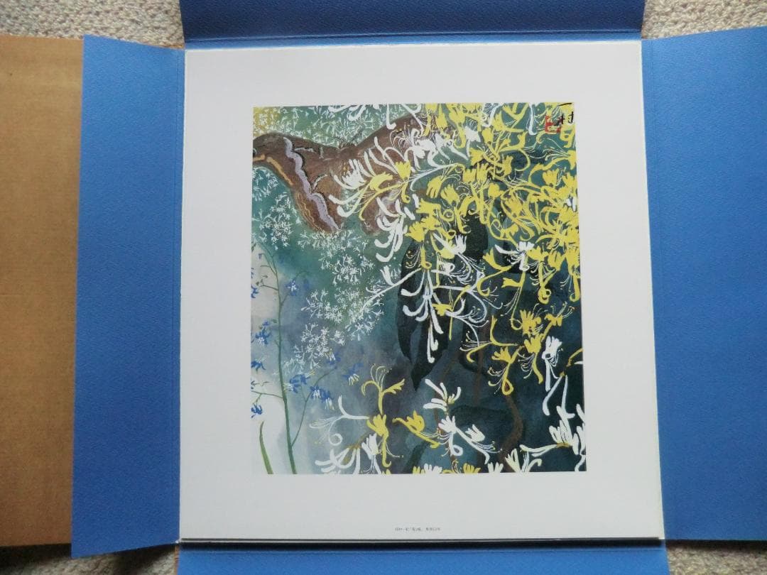 田中一村色紙傑作選 額装版 黒潮の画譜12景 日本放送出版協会 第1版