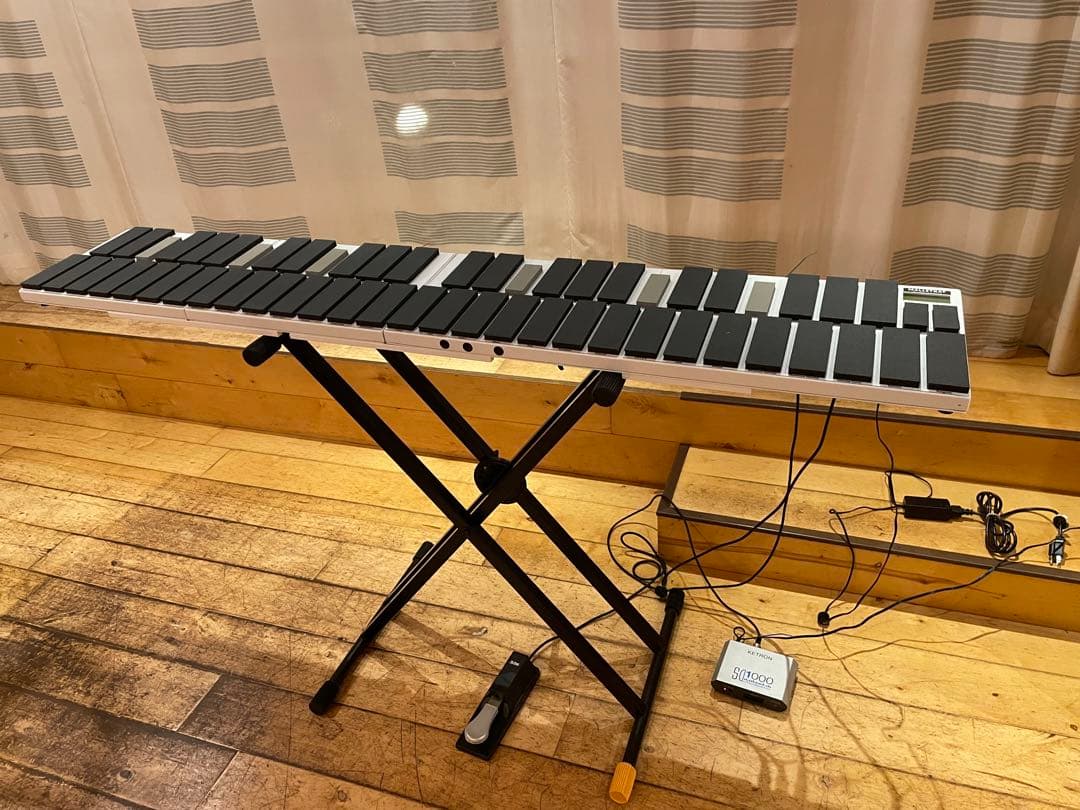 Alternate Mode vibeKAT 4オクターブ - メルカリ