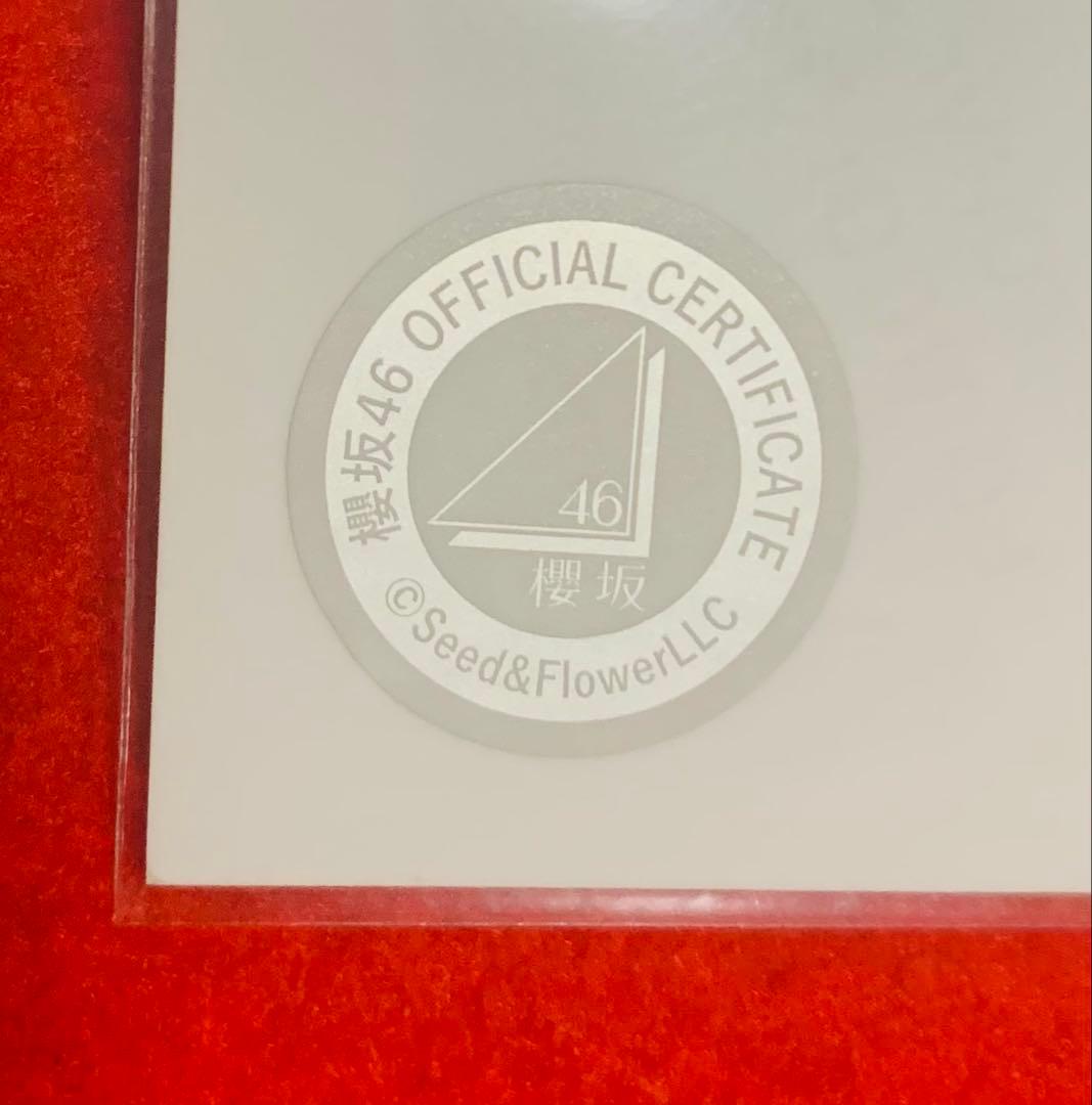 櫻坂46 生写真　山田桃実　直筆サイン