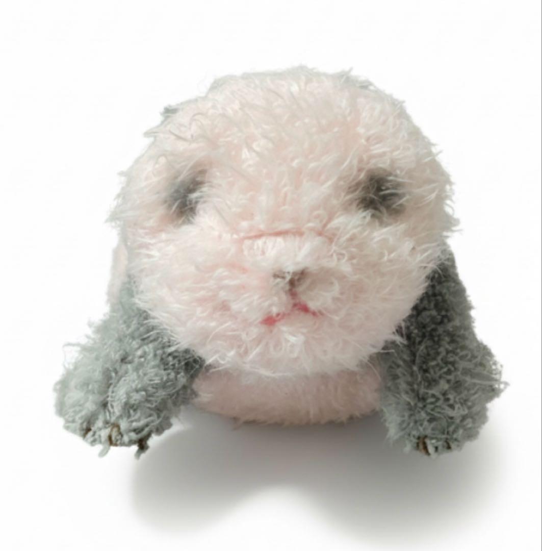 上野動物園　ジャイアントパンダ　ぬいぐるみ　シャンシャン　4体