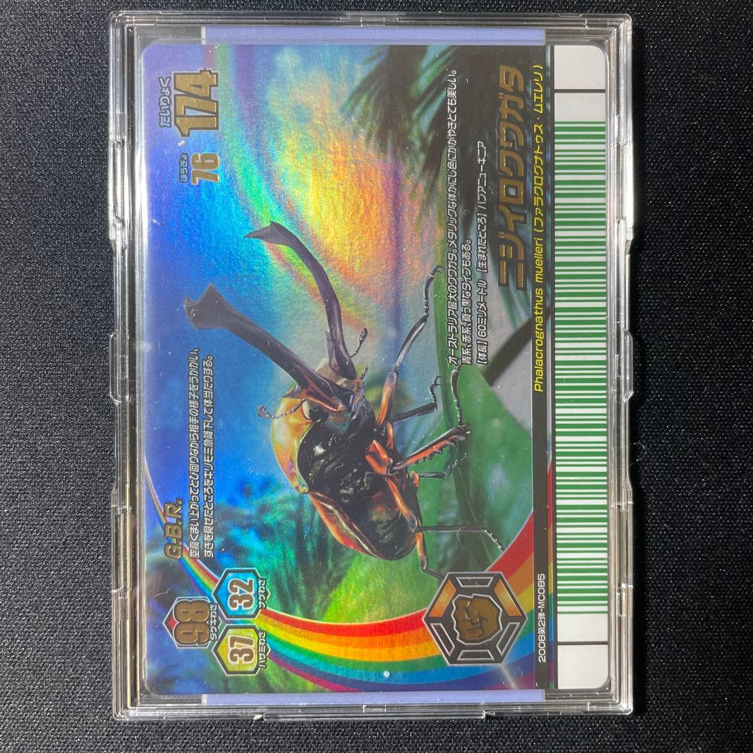 甲虫王者ムシキング 2008夏 ニジイロクワガタ (オレンジ)レインボー