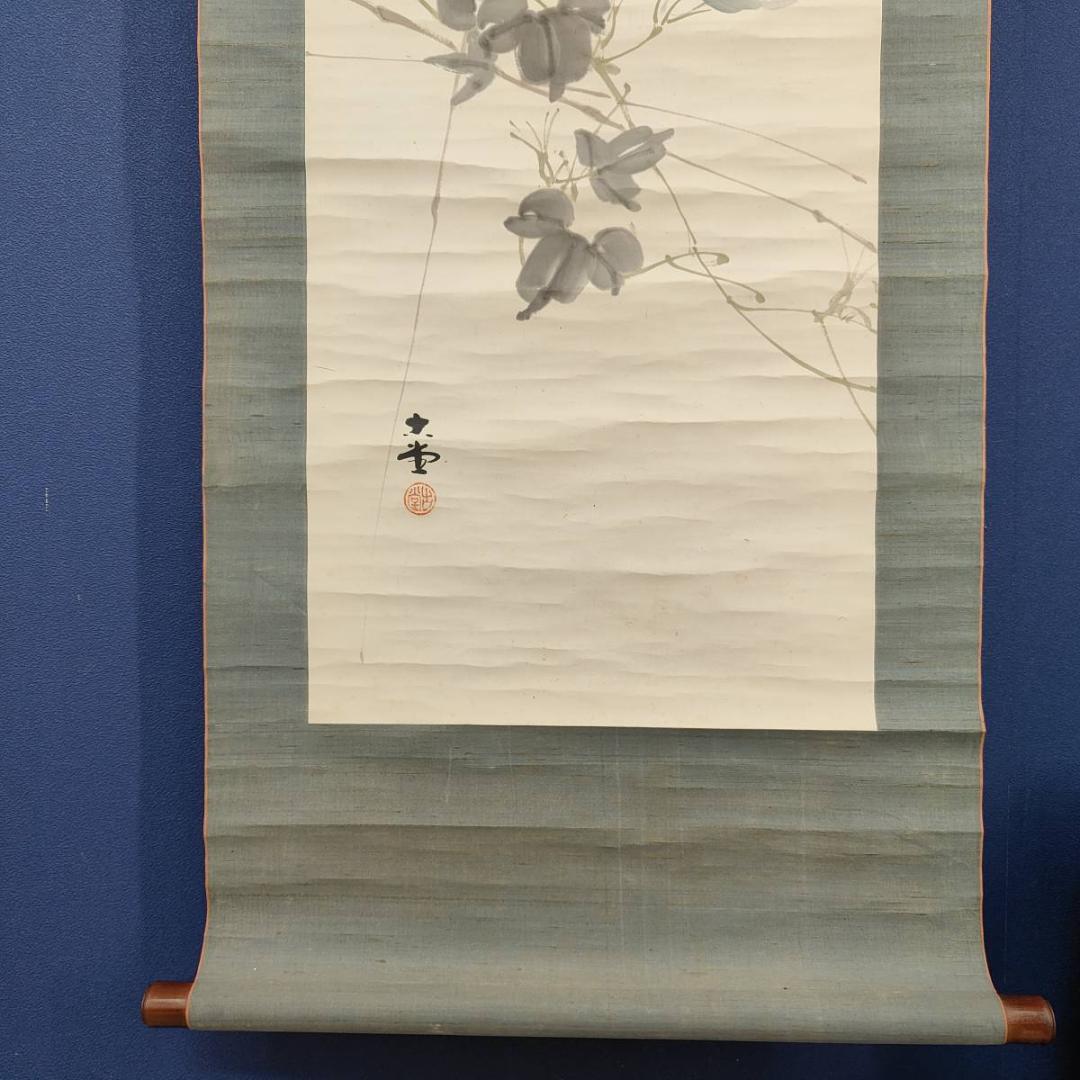 不詳/作者不詳/朝顔図/花/布袋屋掛軸A-451