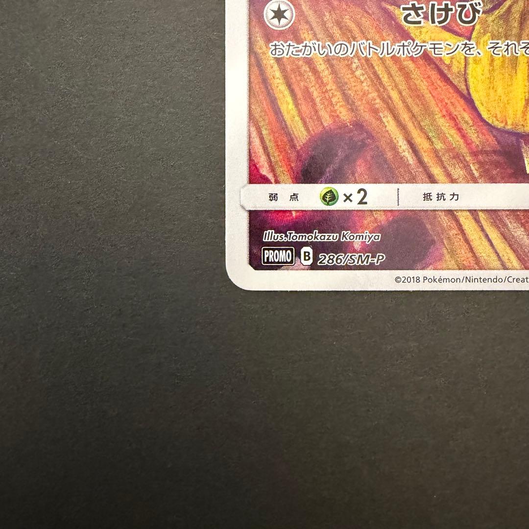 コダック：ムンク展×ポケモンカードゲーム PROMO SM-Pプロモカード