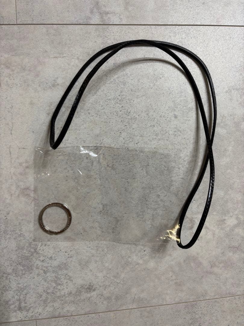 早い者勝ち！値下げ！WILDSWANS NORMA /LEGAREセット - メルカリ