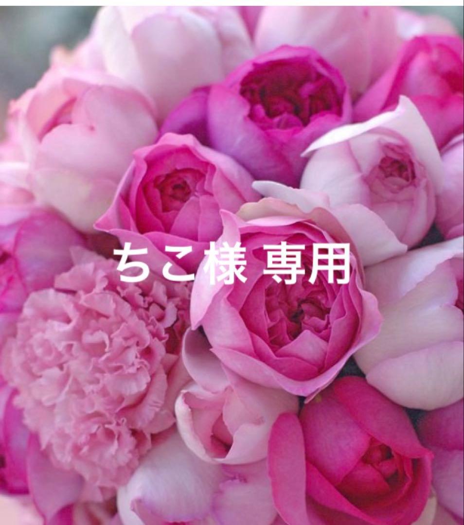 専用 サルート D75ジャズ 新品】wacoal サルート 75 ブラ ソングセットD75M WH - メルカリ