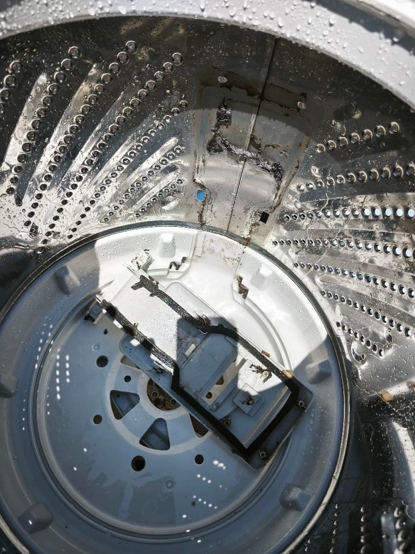 関東限定 2019年 条件にて無料配送 Hisense 5.5㌔ 洗濯機