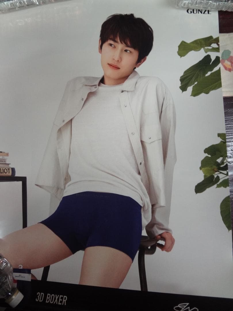 杉野遥亮 GUNZE BODY WILD 非売品ポスター6枚セット - メルカリ