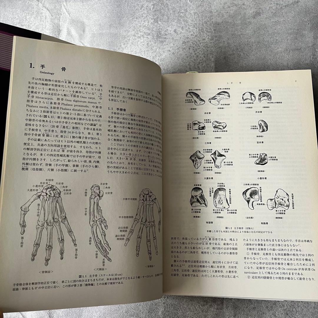 【未使用級】朝倉書店 手の百科事典 定価18,000円 本 書籍