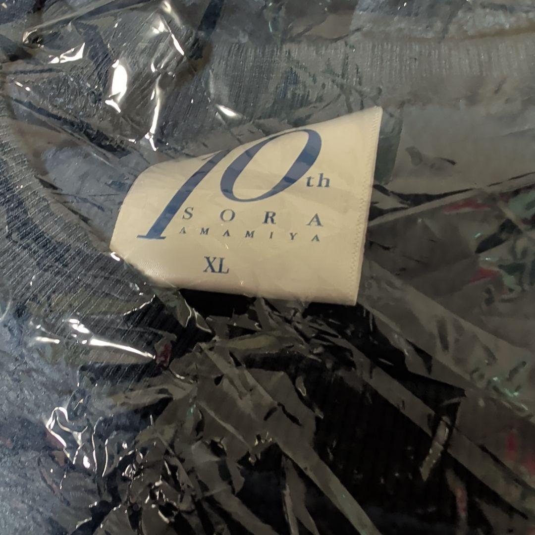 雨宮天 バブ着 上下セット XLサイズ　10周年記念　ルームウェア