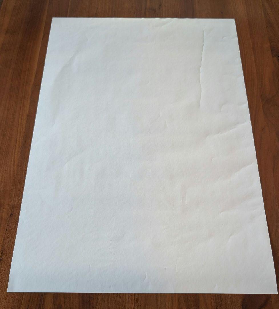 The Birthday 『GOLD TRASH』B2ポスター