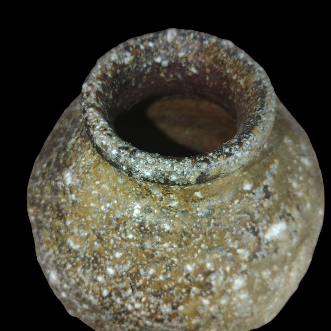 古信楽焼 灰被蹲る 窯変 花入れ 鑑賞用