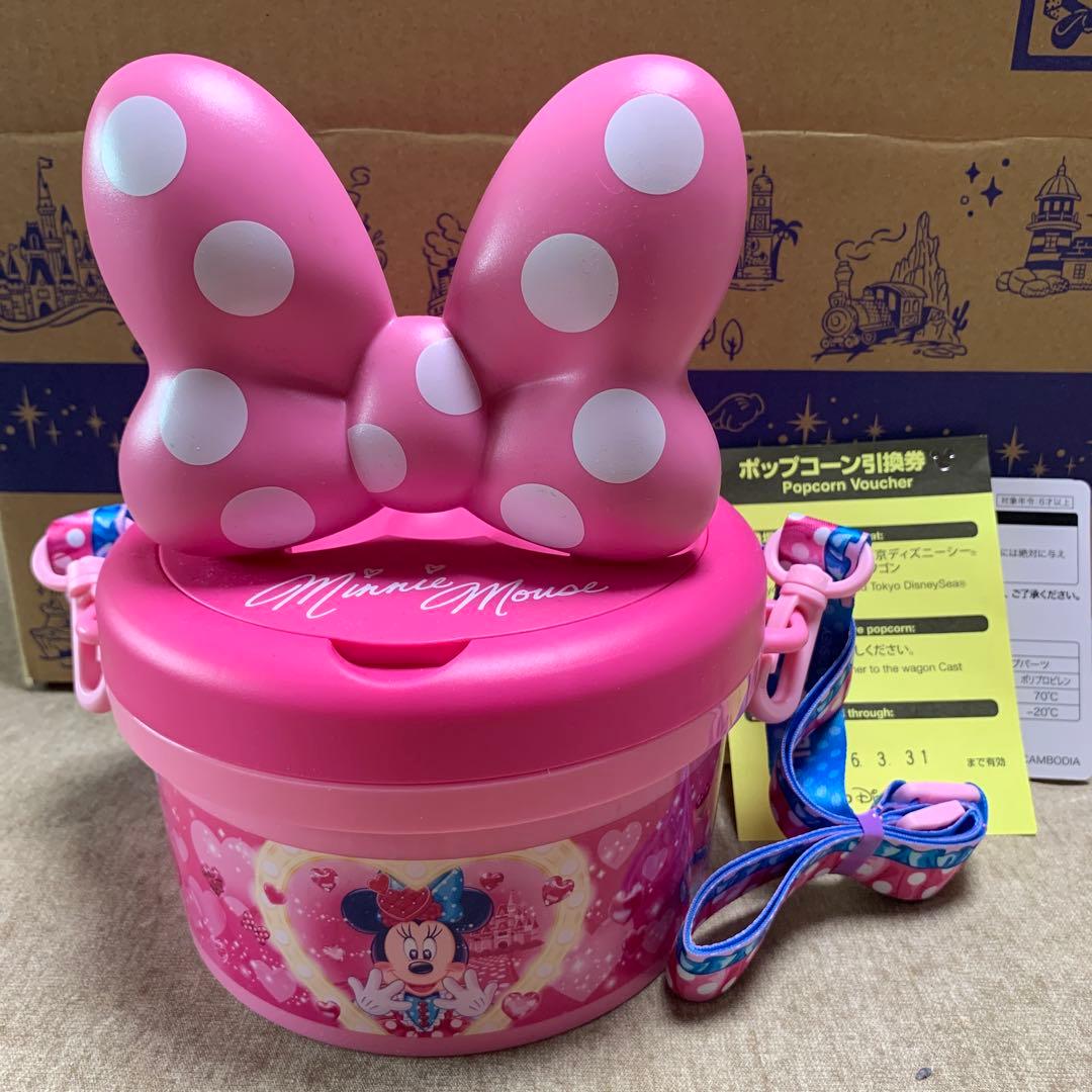 完売品】ディズニーパルパルーザ ミニーのファンダーランド