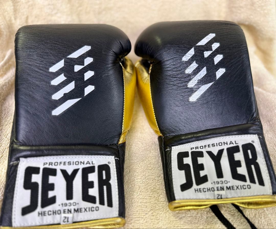 SEYER プロフェッショナル ボクシンググローブ 12oz 黒 ファイティングロード Co.Ltd（FIGHTING ROAD CO.LTD）（メンズ