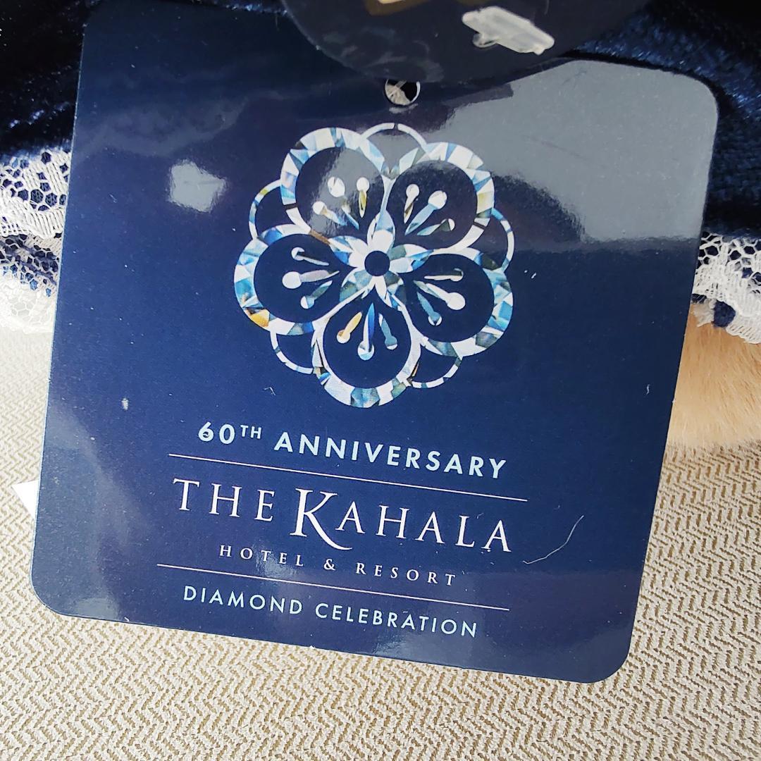 残1★レア 新品 日焼けキティ ぬいぐるみ カハラホテル 60周年 ハワイ 限定