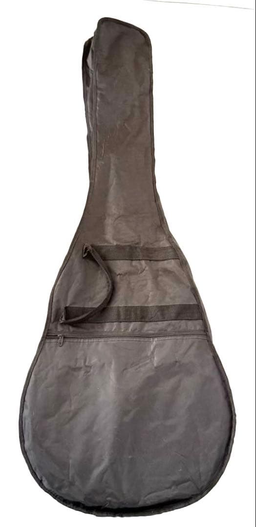 美品】Aria FEB-FLAN エレアコベース - メルカリ