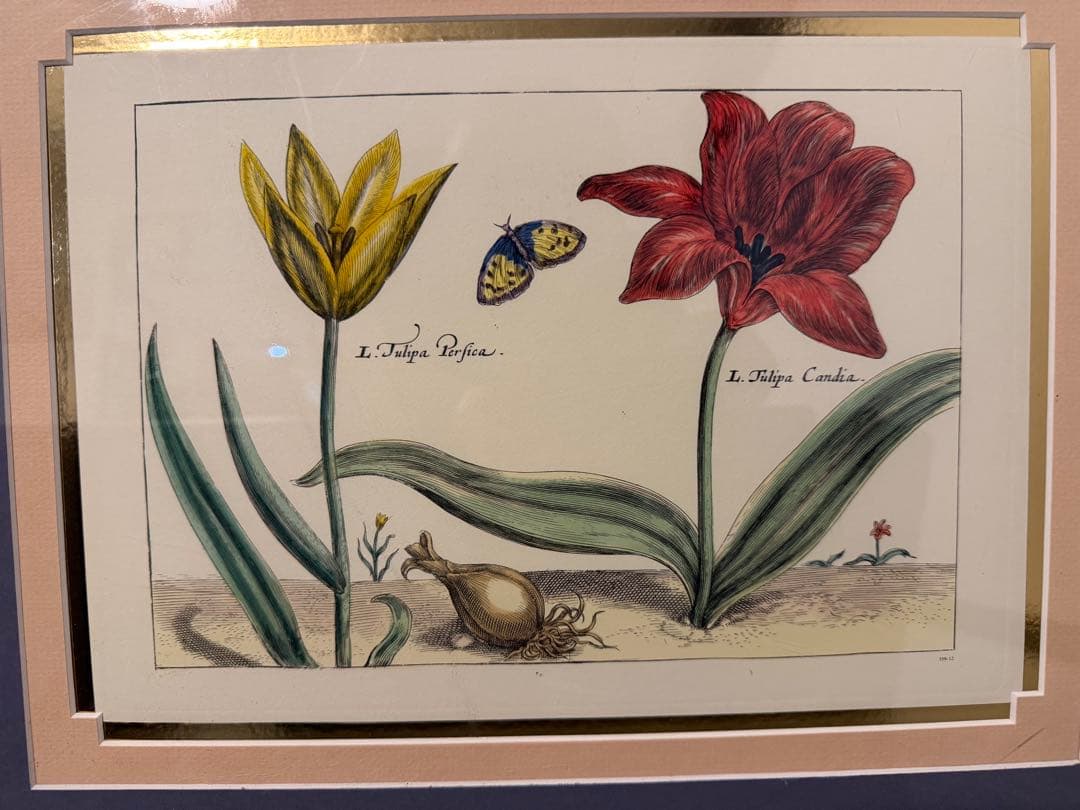 花と蝶のアート作品 木製フレーム付き