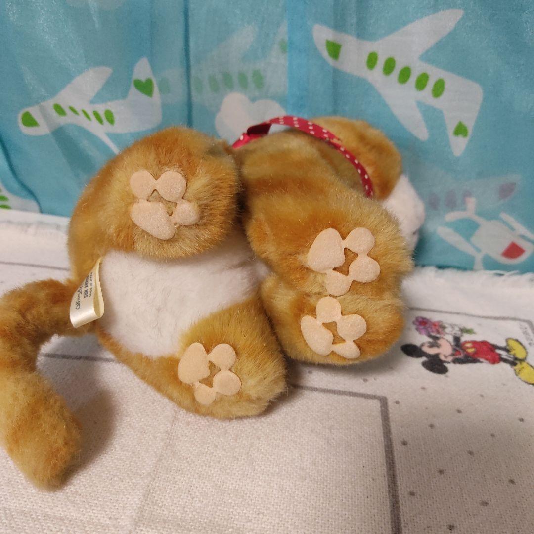 【希少】サンアロー マイケル レトロ ビンテージ ネコ 茶トラ