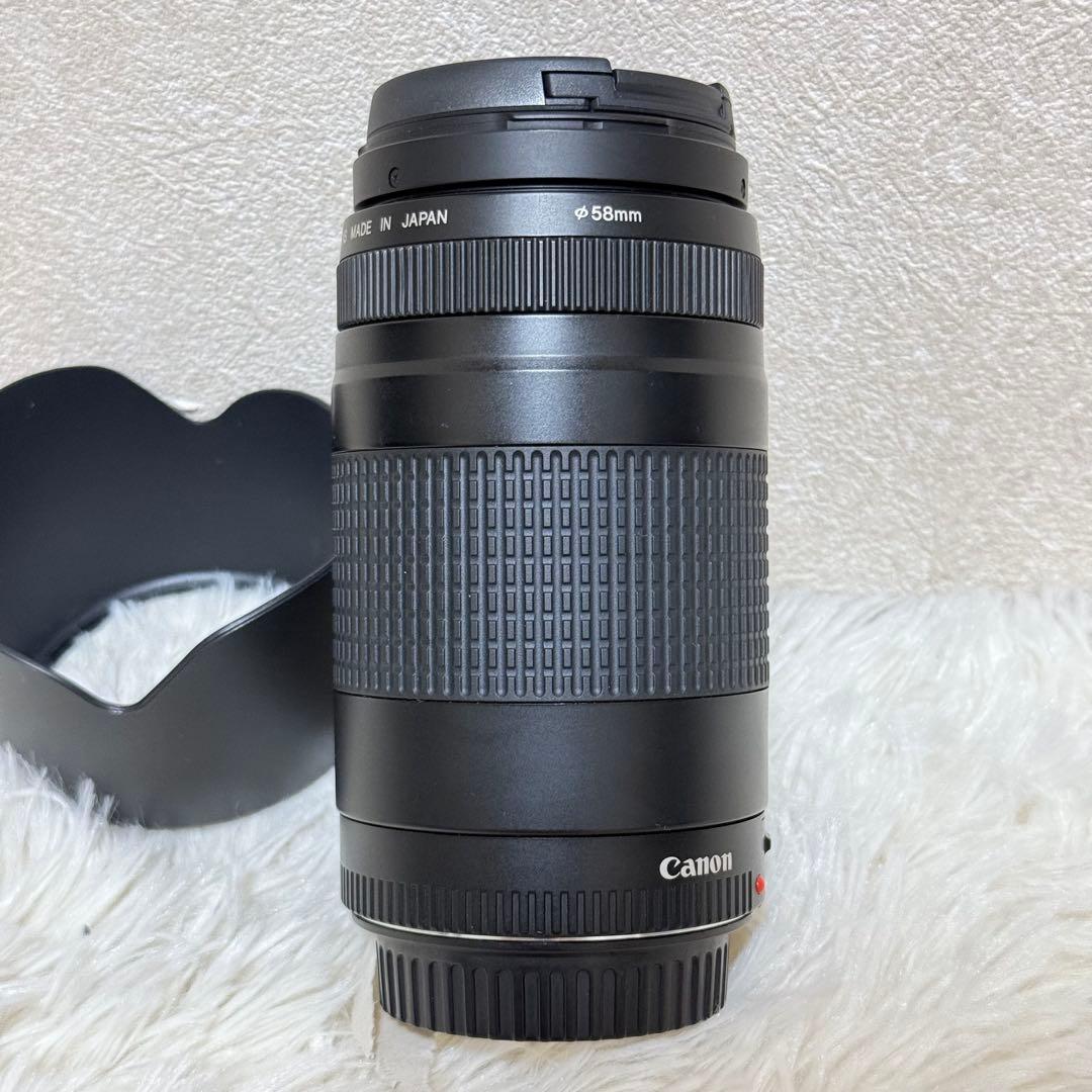 ⭐️完動品⭐️キャノン Canon EF 75-300mm F/4-5.6 II