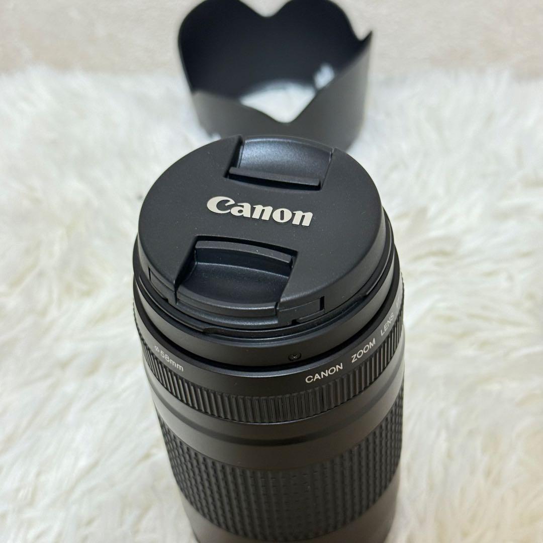 ⭐️完動品⭐️キャノン Canon EF 75-300mm F/4-5.6 II