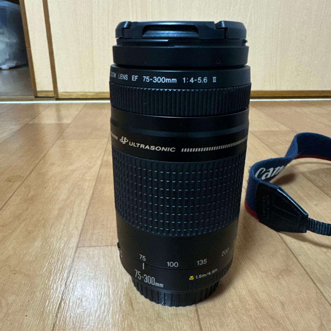 Canon EOS 5D Mark III + レンズセット