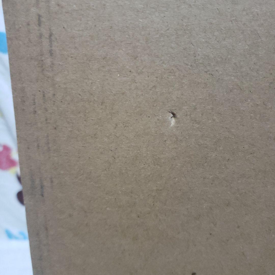 P.O.P“Warriors Alliance” おそばマスク