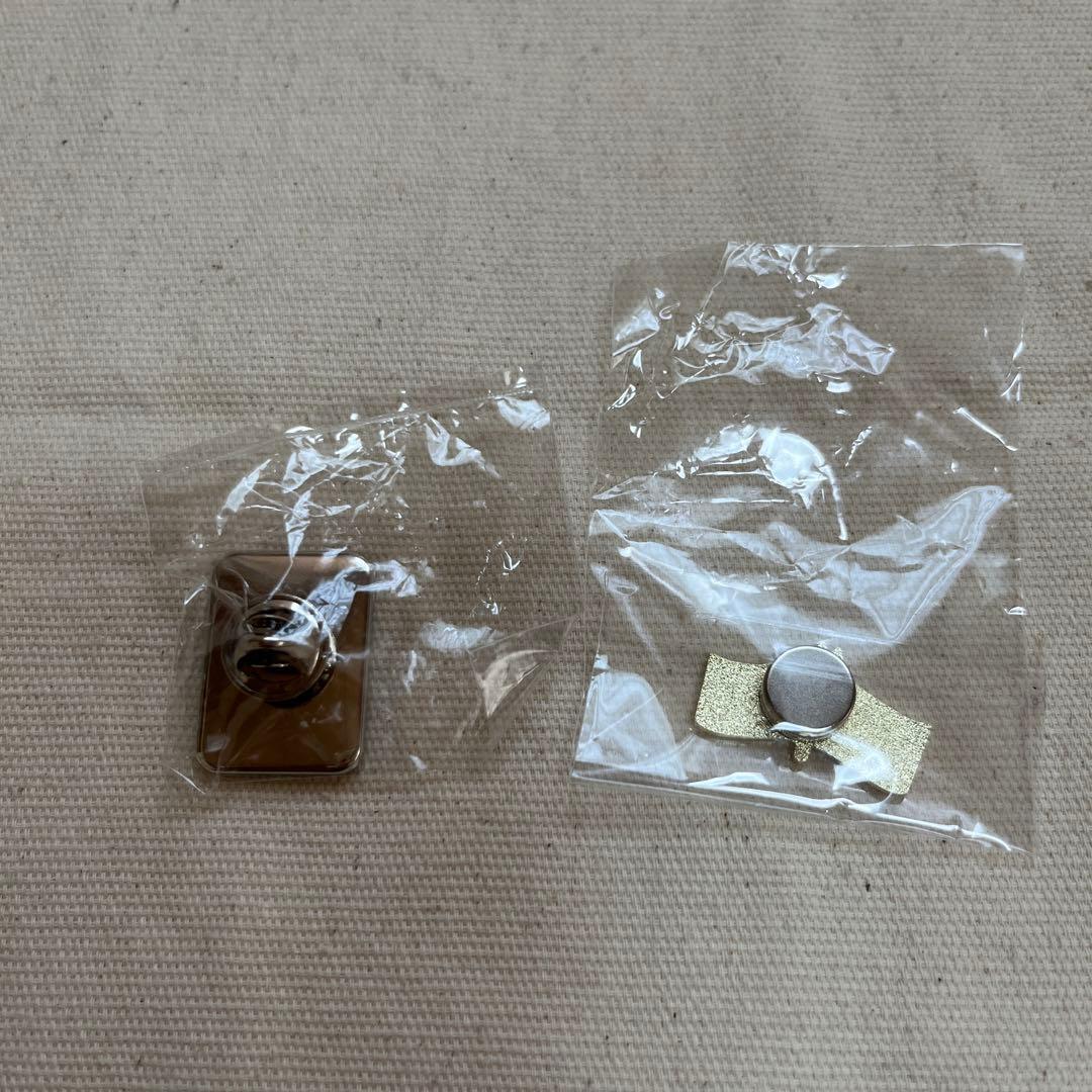 【非売品】ピンバッジ2個セット　ルーマニアパビリオン