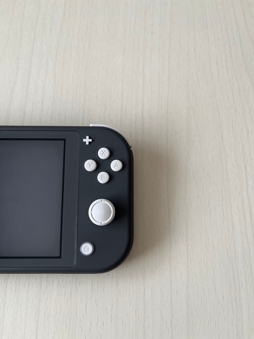 《動作確認済み》Nintendo Switch Lite グレー