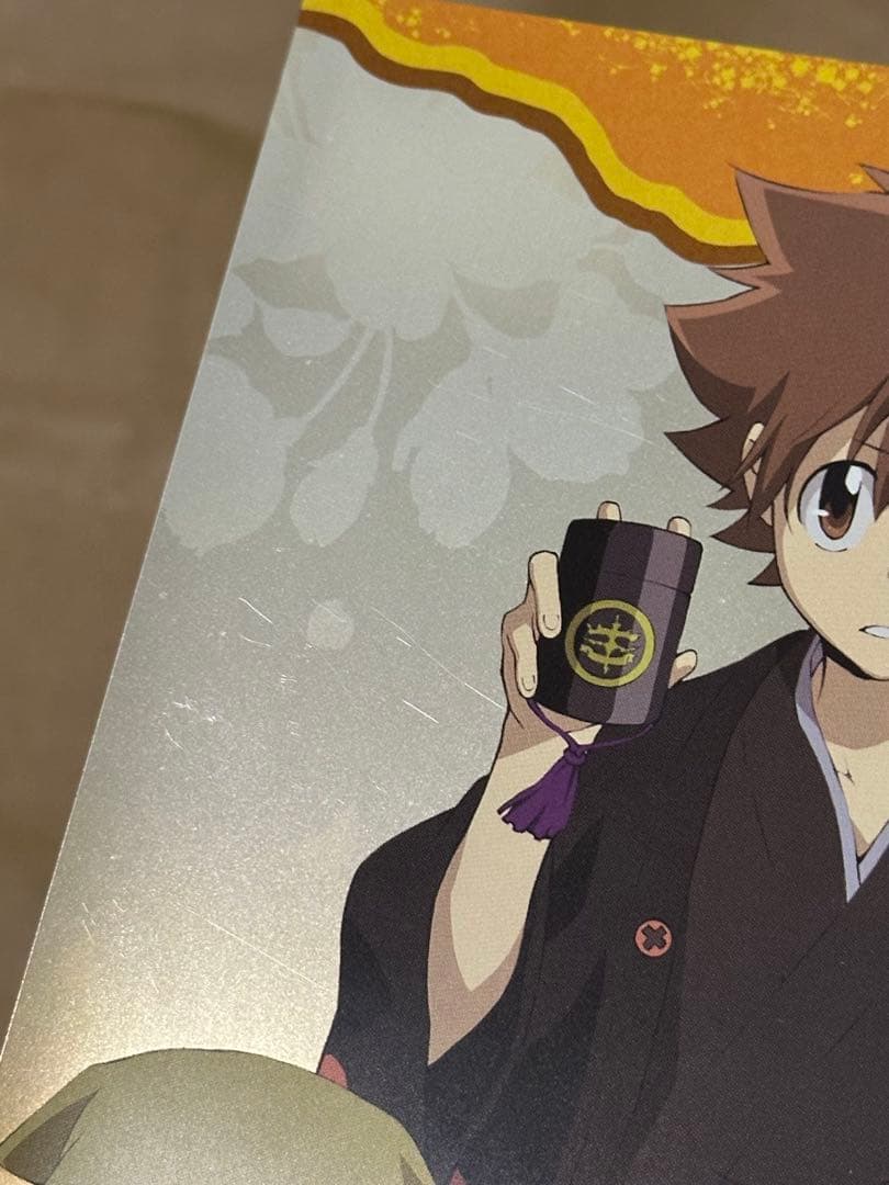 家庭教師ヒットマンリボーン　ツナ　沢田綱吉　ポストカード