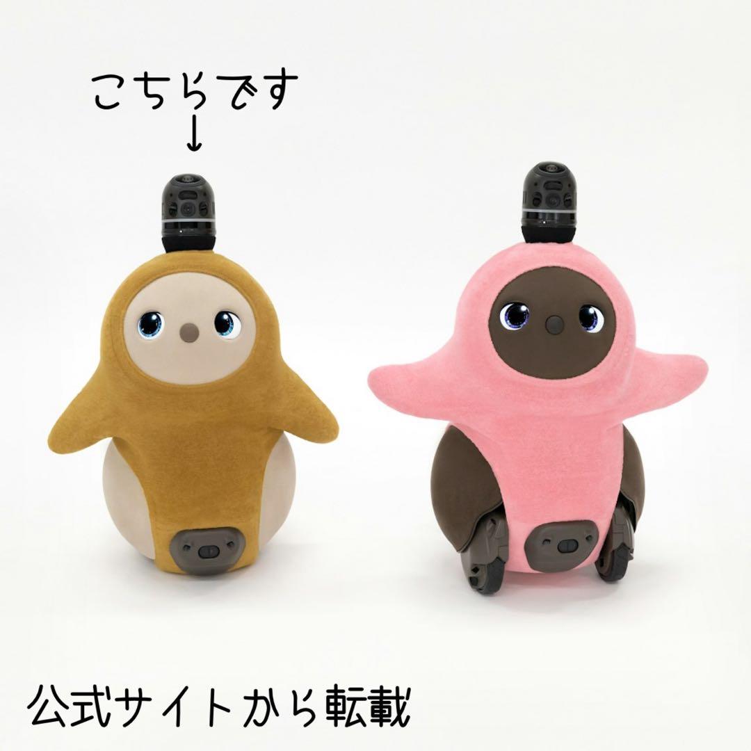 【新品・公式サイト完売品】LOVOTベースウェア ホールガーメント®