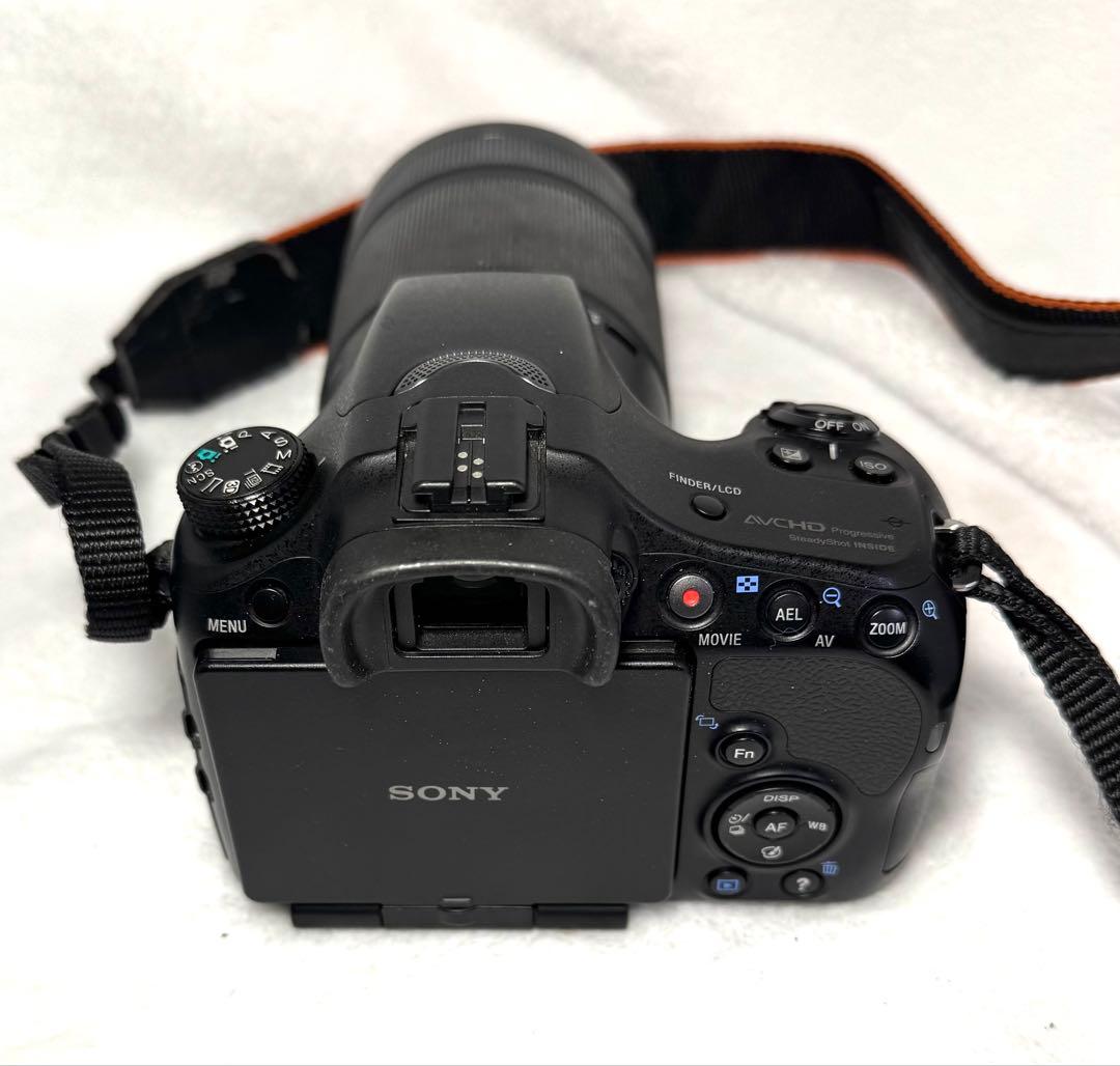 SONY α57、55-300mm F4.5-5.6 #2753