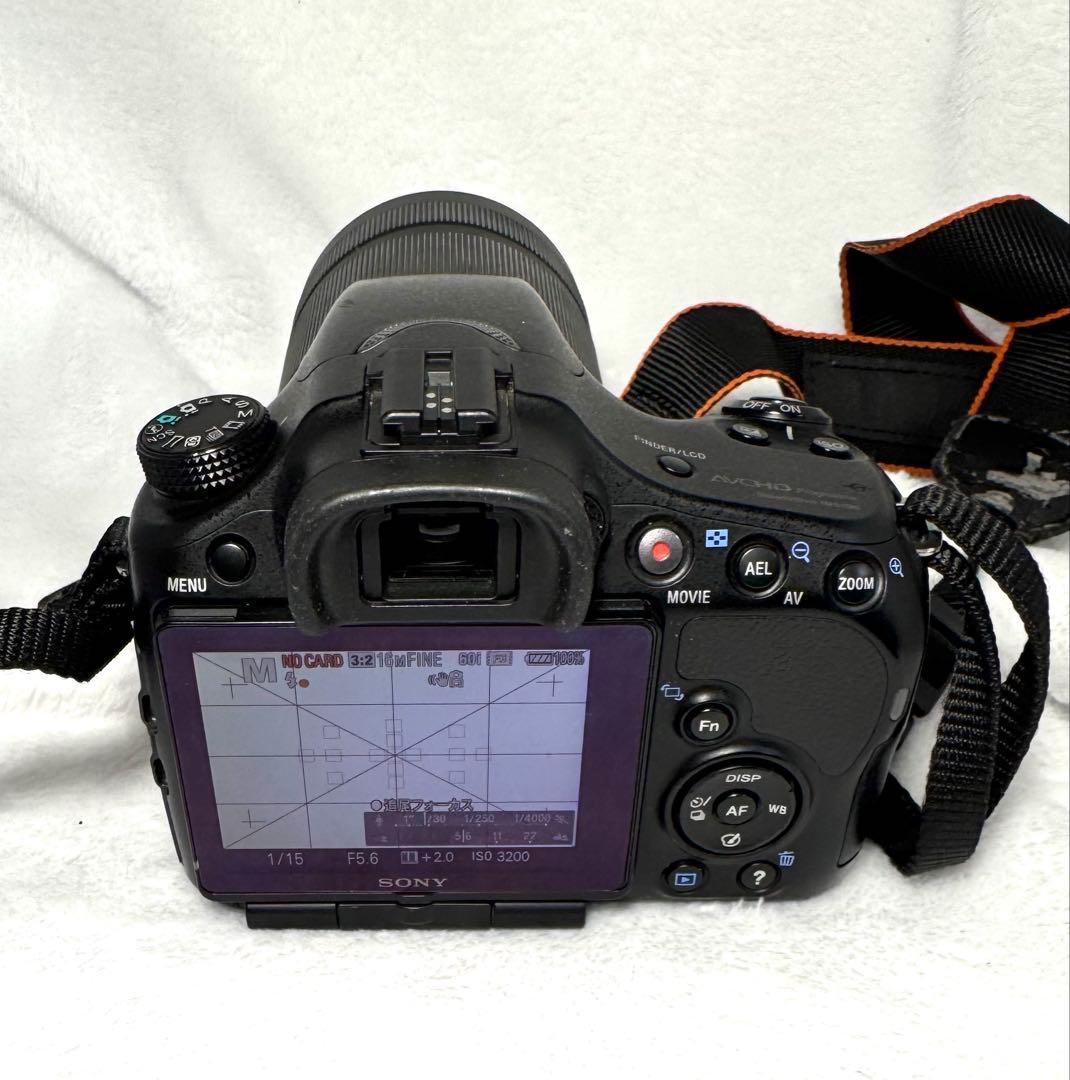 SONY α57、55-300mm F4.5-5.6 #2753