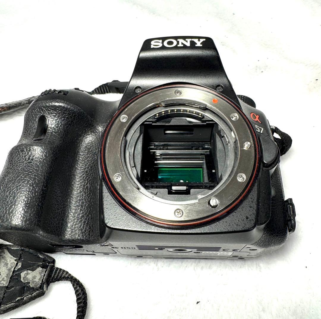 SONY α57、55-300mm F4.5-5.6 #2753