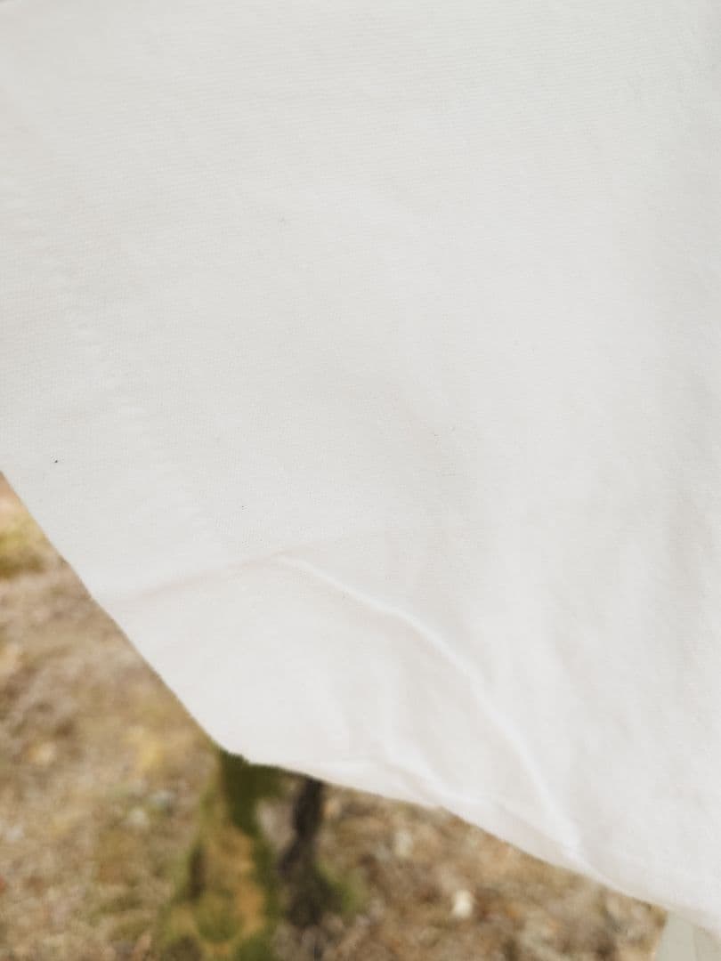 80s RAMONESラモーンズ Tシャツ XL USA製