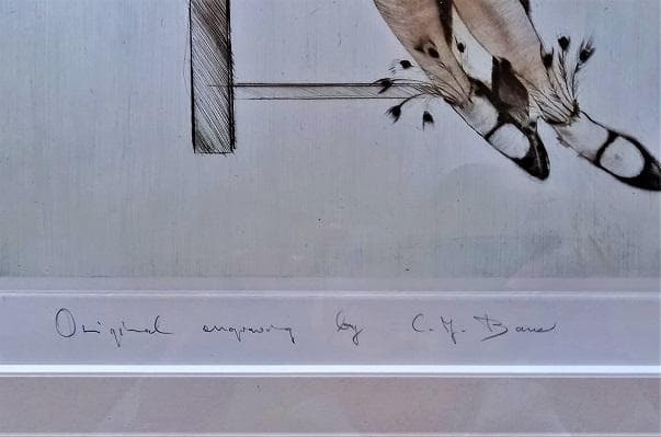 作者不詳サインはC.y bana 外国人画家による「踊り子」 リトグラフ