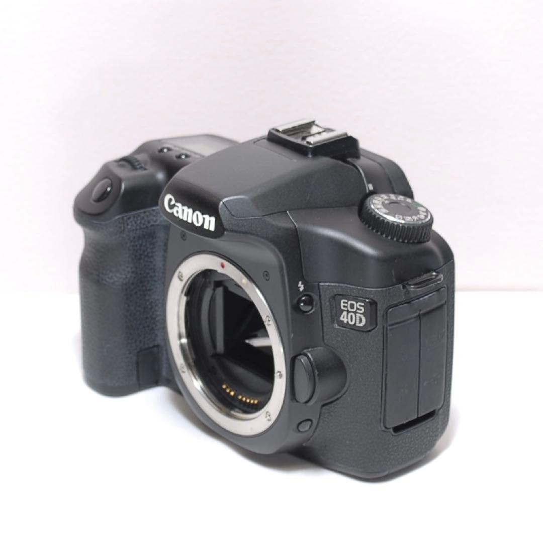 連写撮影におすすめ❤️Canon EOS 40D❤️シングルレンズ❤️すぐ使え
