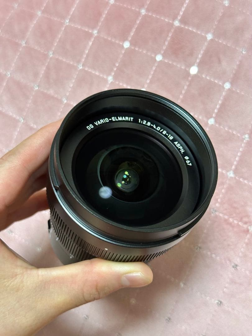 【極美品】LUMIX VARIO ELMARIT 8-18mm F2.8-4.0