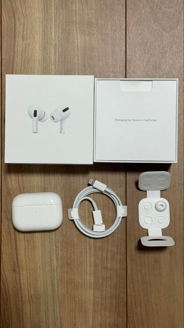 Apple AirPods Pro 第1世代 (ジャンク品) Apple