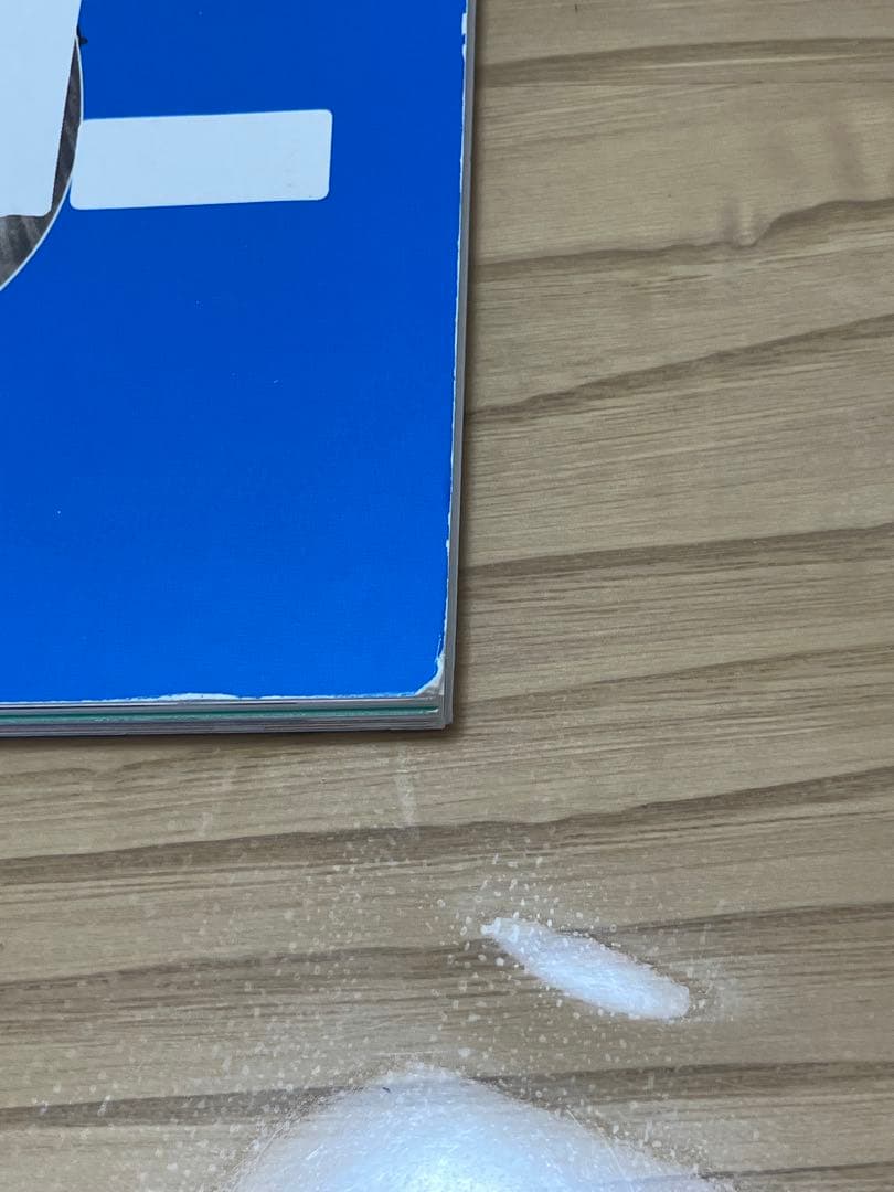 【限定】ポールマッカートニー 2015ツアータオル・パンフレット・チラシ