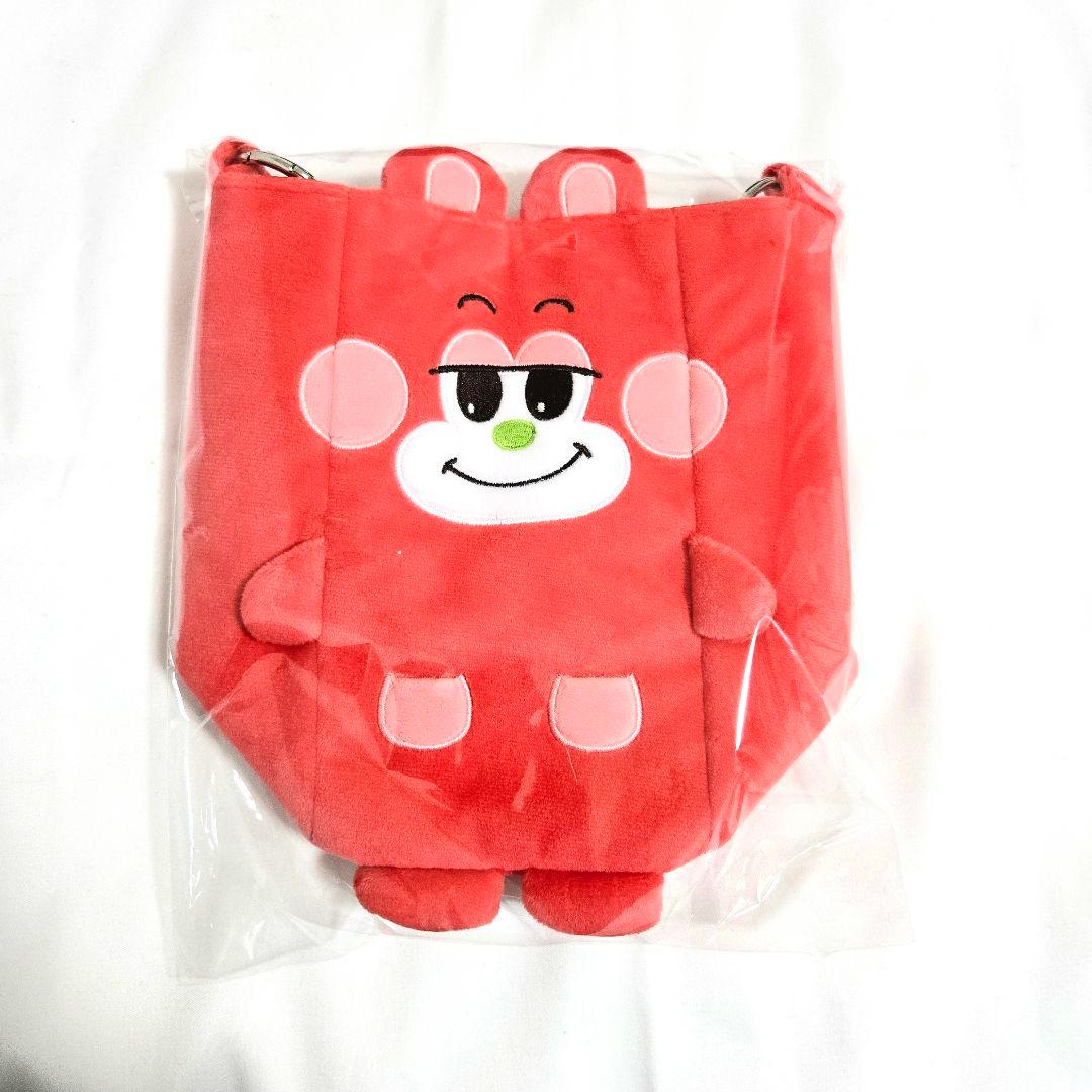 RIIZE ライズ ドーム ファンライトバッグ ペンライトバッグ