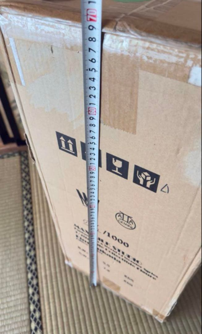 新品　深田えいみ『異世幻想』魅魔　フィギュア　Succubus サキュバス